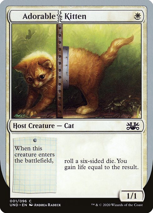 Adorable Kitten (1) - Unsanctioned