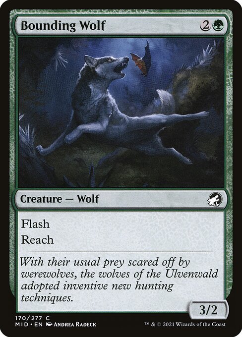 Bounding Wolf (170) - Innistrad: Midnight Hunt