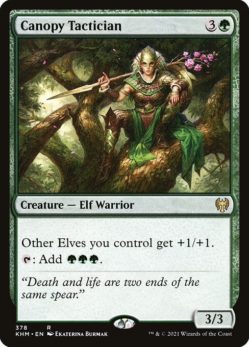 Canopy Tactician (378) - Kaldheim