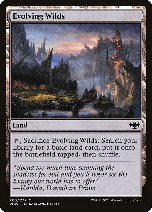 Evolving Wilds (263) - Innistrad: Crimson Vow