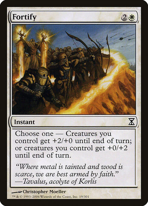 Fortify (19) (Foil) - Time Spiral