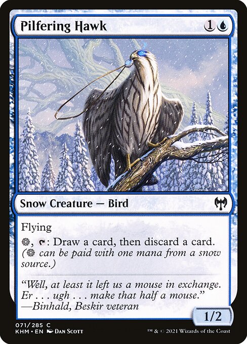Pilfering Hawk (71) (Foil) - Kaldheim
