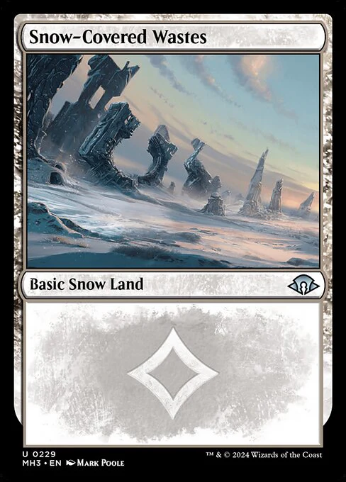 Snow-Covered Wastes (229) (Foil) - Modern Horizons 3