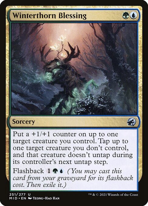 Winterthorn Blessing (251) (Foil) - Innistrad: Midnight Hunt